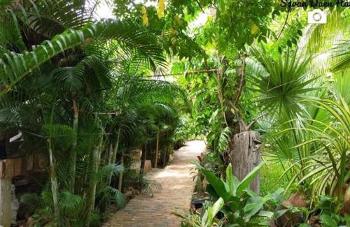 Savannakhet House | Sala Thongyon - Guest House