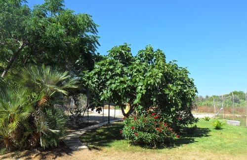 Capilungo Apartment | Salento 2019: Venere apartment 200 meters from the sea