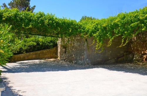 Corsano House | Salvia