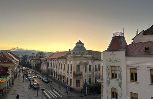 Miercurea-Ciuc Apartment | Samadhi Aparthotel