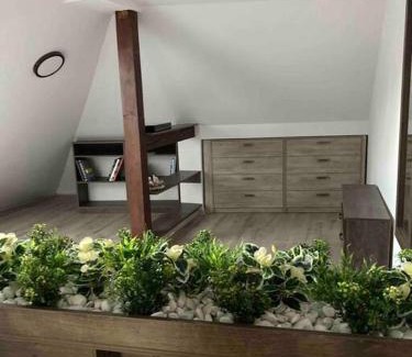 Miercurea-Ciuc Apartment | Samadhi Aparthotel