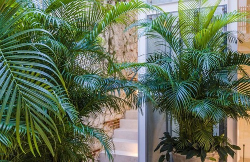 Cartagena District House | San Diego Historic Center