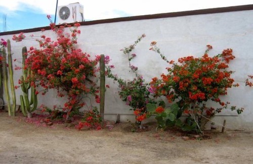 Primera Seccion Cabin | San Felipe Rental Studio 3 FREE WIFI AND CABLE TV