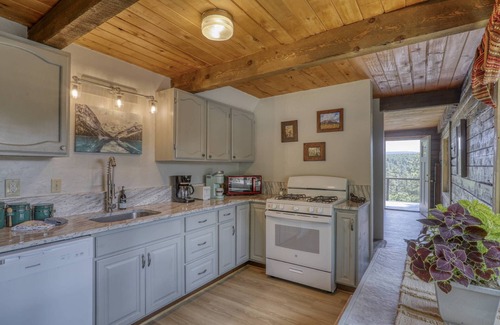 San Juan River Village House | San Juan Cabin: Cozy Mountain Getaway, Fire Pit, Mtn Views, 10 Min to Downtown, Close to Wolf Creek!