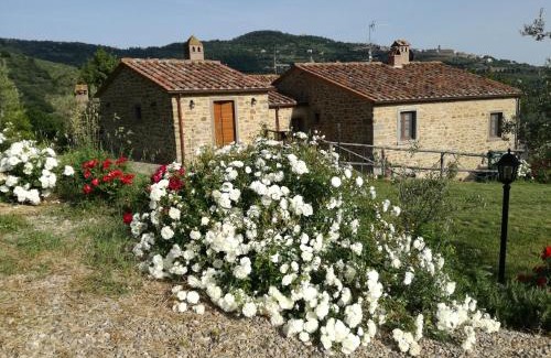 San Pietro a Cegliolo House | San Martino agli Ulivi