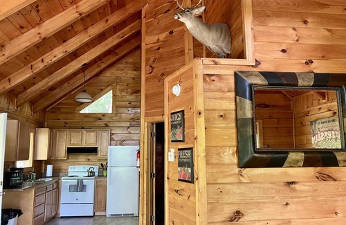 Stanton Cabin | Sandstone Cabin-RRG! Hot tub- Relaxing