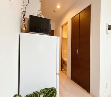 Ikuno Apartment | Sanmi 剛田今里101