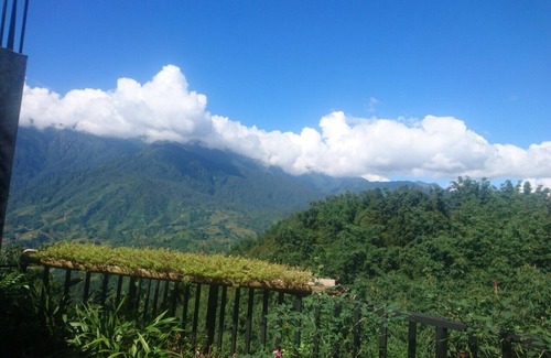 Sa Pa House | Sapa Bamboo Homestay with the nature and near the Sapa town