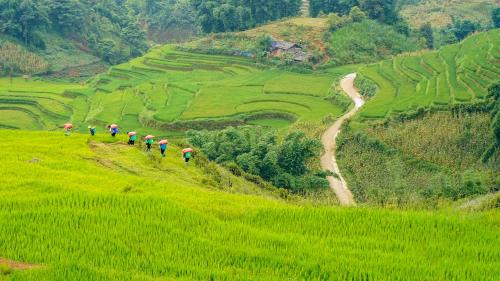 Sa Pa House | Sapa Fantasea Homestay