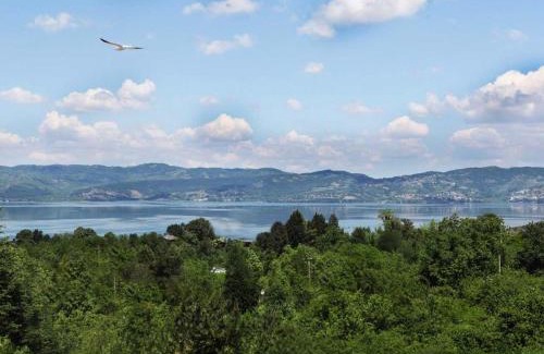 Sapanca Hotel | Sapanca Kırsal Silence