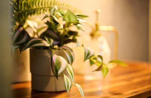 Kita Ward House | Sapporo - Apartment - Vacation STAY 43042v