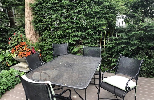 Saratoga Springs House | Saratoga, Belmont historic in-town home rental. Walk to track and downtown.