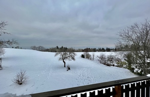 Saint-Paul-en-Chablais Ski Chalet | Savoyard chalet between lake and mountains (10 people) - St Paul en Chablais