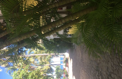 North End House | SAYULITA GUITRON HOUSE