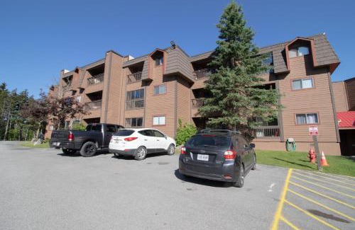 Snowshoe House | SC215B 1BR 1BA Sleeps 6 WiFi Parking Next To Soaring Eagle And 10 Prime
