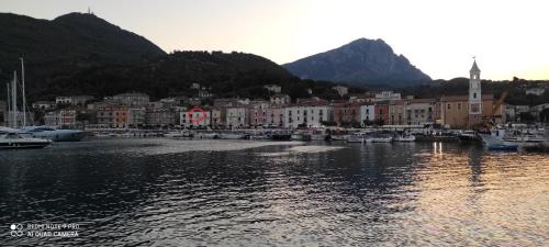 Scario Apartment | Scario Sunny Apartment in centro