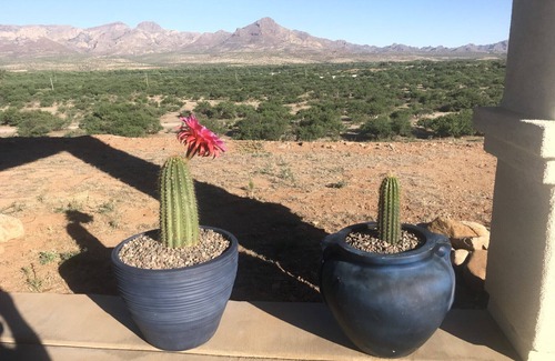 Rio Rico House | Scenic View of Santa Cruz River Valley and Mountains