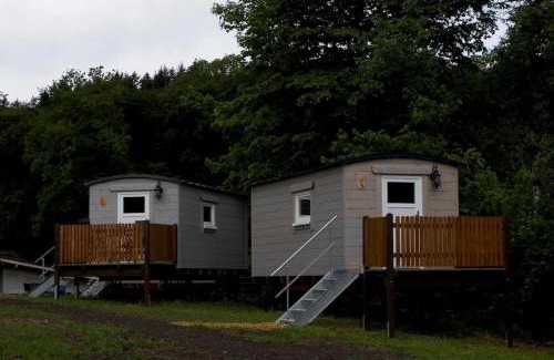 Eifel Other | Schäferkarrenpark Adler- und Wolfspark Kasselburg