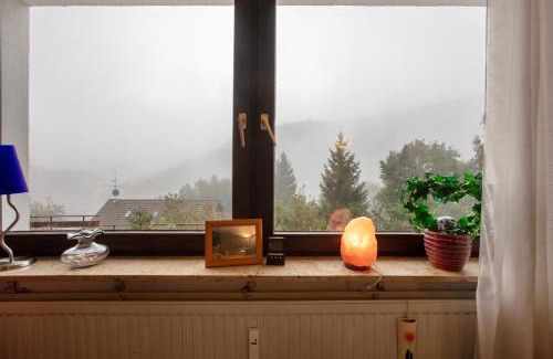 Todtmoos Apartment | Schönblick
