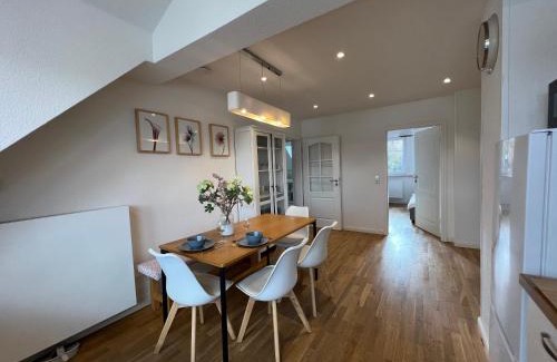 Loerrach Apartment | Schöne Altbauwohnung mit großer Dachterrasse für bis zu 8 Personen