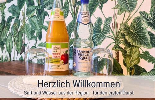 Brandenburg an der Havel Apartment | Schöne, ruhige Stadtwohnung, Küche, SmartTV, 1-5 Pers
