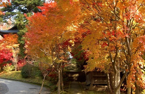 Hida Takayama Onsen House | Scheduled for deletion Nonsmoking standard twin /Takayama Gifu