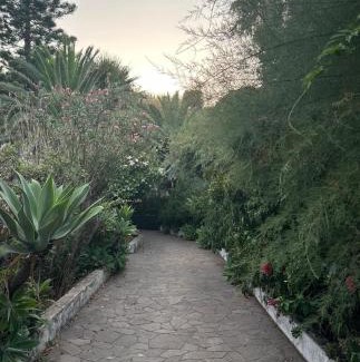 San Vincenzo House | Schicciolina