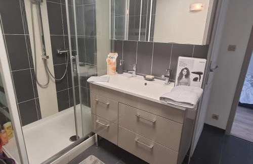 Schirmeck Apartment | Schirmeck centre appartement au pied du château