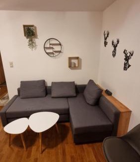Schladming Apartment | Schladming Planai View Top 12