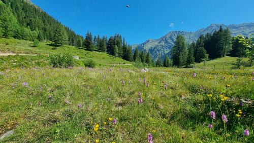 Schladming Apartment | Schladming Planai View Top 12