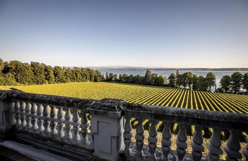 Immenstaad am Bodensee Apartment | Schloss Kirchberg - Rosé