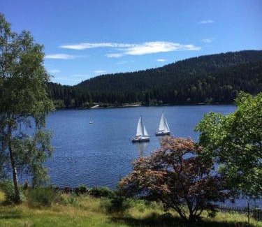 Schluchsee Apartment | Schluchsee, Villa Seepark