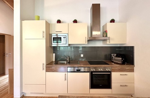 Zell am See Apartment | Schmitten Finest Apartment - LEO