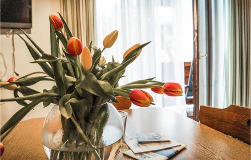 Wildschoenau Apartment | Schoene Ferienwohnung-Niederau