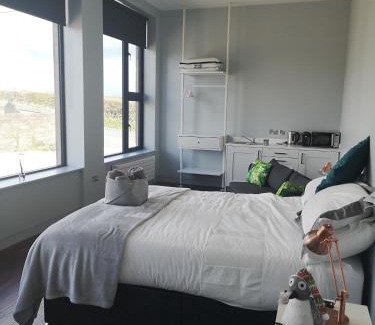 Portaferry Apartment | School house Portaferry
