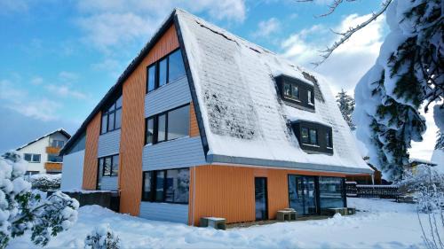Schulenberg im Oberharz Apartment | Schulenberg Apartment 1 mit Kamin