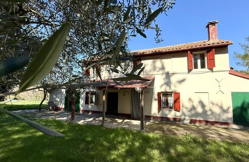 Bettolelle Apartment | SE143 - Senigallia, farmhouse surrounded by green hills
