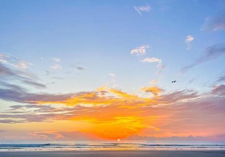 New Smyrna Beach House | Sea Coast Gardens III 303