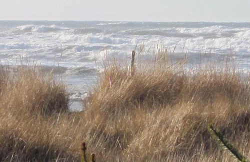 Pacific Beach Apartment | Sea Oats