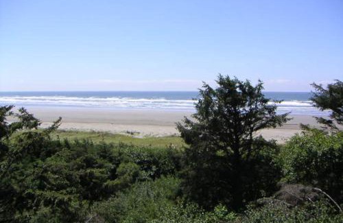 Pacific Beach Apartment | Sea Scallop