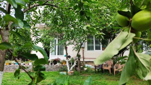 Gonio House | Sea Side Gonio