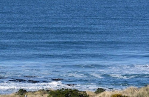 Brighton Cottage | Seabreeze Cottage, by the ocean in Brighton, Otago