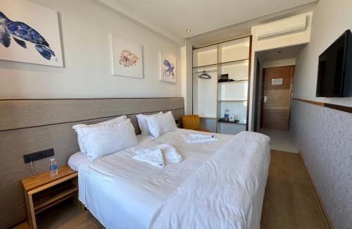 Oualidia Hotel | Seashell