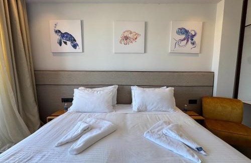 Oualidia Hotel | Seashell