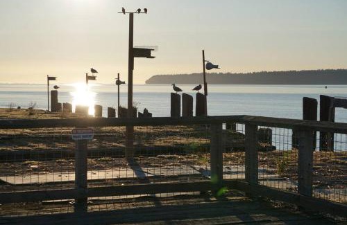 Blaine Apartment | Seaside Oasis Oceanfront Bliss Condo at Semiahmoo