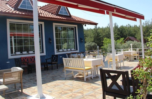 Selcuk Apartment | Secluded Apart Surrounded by Nature in Selcuk