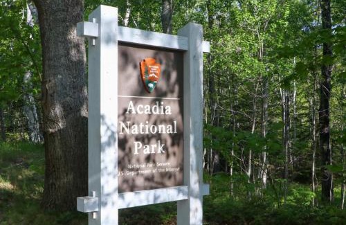 Lamoine House | Secluded Bungalow Near Acadia and Bar Harbor -Private, Pet Friendly, BBQ Grill, Huge Yard