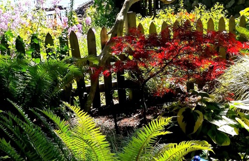 Metchosin Apartment | Secluded by the ocean, 30 minutes from Victoria