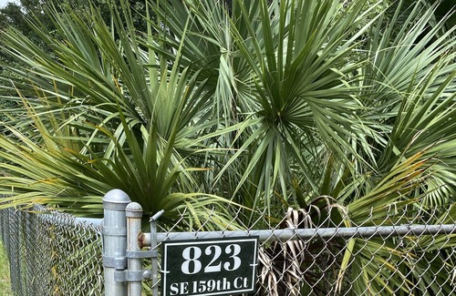 Ocklawaha Cabin | Secluded Cabin #2 in the Woods Close to Everything