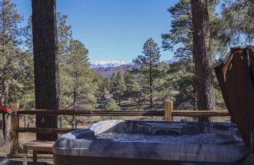 Pagosa Springs Cabin | Secluded Cabin: Hot Tub, Pet-Friendly, 3.5 Acres, Stunning Mountain Views, Starlink Wifi, Fire Pit!